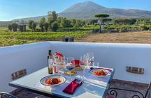 Organic Wine Tasting & Lunch Experience on Mt Vesuvius