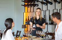 Mt Etna and Wine tasting tour from Taormina - Private or Shared