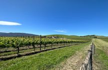 Private Tour: Yarra Valley Wine, Cheese, Bubbles & Chocolaterie 