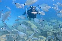 Try Dive - Scuba Diving with a private guide, incl. photos