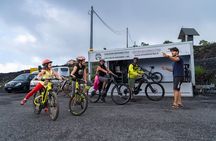 Etna in MTB Half day small group
