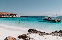 Daymaniyat island Natural Reserve and Dolphin Watching
