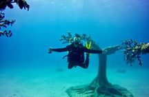 Private Scuba Dive / Try Dive at Musan Underwater Park 