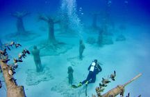 Private Scuba Dive / Try Dive at Musan Underwater Park 