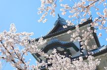 Kanazawa Cherry Blossom Tour: Private & Personalized with a Guide