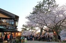 Kanazawa Cherry Blossom Tour: Private & Personalized with a Guide