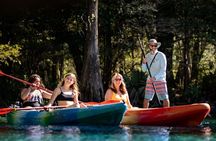 Cypress Springs Eco Adventure