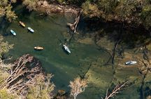 Cypress Springs Eco Adventure