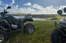 St Lucia ATV Tours (Best on Island)