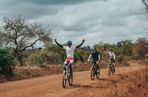 Private Cycle to Kilimanjaro Bike Park Safari