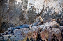 Espiritu Santo Island Tour