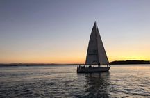 Auckland Harbour Sailboat Cruise Including Three Course Dinner