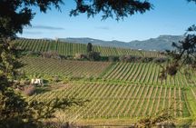Best Wines of Crete: Wine Tasting Tour & traditional Lunch