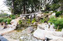 Silver Leaf Monkeys and Firefly Tour in Kuala Lumpur