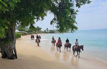 Horseback Riding at Hawksbill Beach in Five islands Antigua 