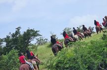 Horseback Riding at Hawksbill Beach in Five islands Antigua 