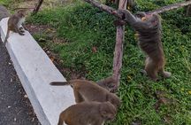 Chan May Port : Private tour to Golden Hand Bridge - Ba Na Hills