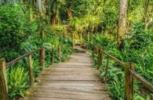 Best of Fiji Tours: 3 Days Package