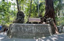 Ubud Monkey Forest Sanctuary Entrance Ticket All Inclusive