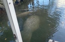 Crystal River: Private Manatee Boat Tour