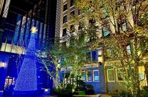 Tokyo Winter Illumination Ebike Tour