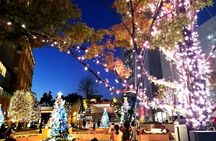 Tokyo Winter Illumination Ebike Tour
