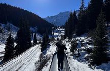 Big Almaty Lake: Choose Your Adventure on Foot or by Car