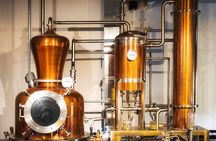 Holyrood Distillery Gin Tasting and Cocktail Making Experience