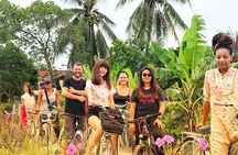 Mekong Delta & Cu chi Tunnel Full Day BBQ Lunch Lux Group 12 pax