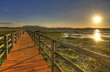 7 Hour Private Tour in Palo Verde National Park with Pickup