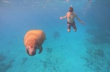 Let's snorkel Hol Chan the Best Marine Reserve in Belize