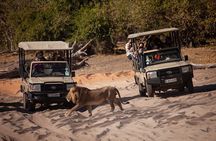  Chobe Day Trip From Victoria Falls