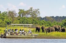  Chobe Day Trip From Victoria Falls
