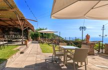 Wine & Food Tasting in Villarena