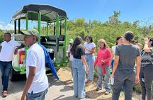 Safari Tour – Paradisiacal Excursion to Bahía de las Águilas