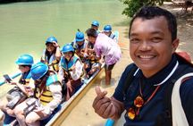 Shared Underground River Tour without lunch