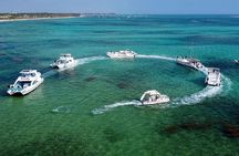 Punta Cana Booze Cruise, Snorkeling, Sand-Bar with Entertainment