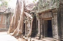Private One Day Trip with Sunrise at Angkor Wat, Angkor Thom and Tomb Raider