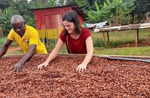 1 Day cocoa farm tour