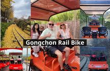 Nami Island & Petite France & Italian Village & Gangchon Rail Bike One-Day Tour
