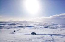 1 Hour ATV Quad Tour : Pick up from Reykjavik (2 persons per ATV)