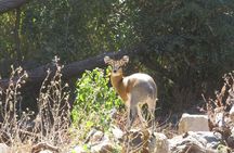 Private 5 Day Tanzania Safari Adventure Tour from Arusha