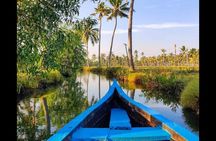 Backwater Village Life Tour from Kochi –Country Boat: Local Lunch