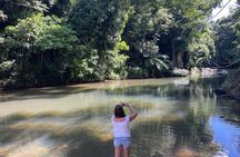 Private Half-Day Tour to El Yunque Rainforest 