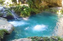Horse Backriding and Secret Falls Ocho Rios 