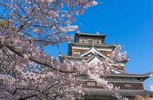 Private Hiroshima Cherry Blossom and Sakura Experience