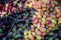 Keramikos Food Tour in Athens