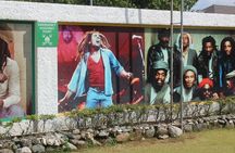 Day Trip to Bob Marley Nine Mile from Montego Bay or Falmouth