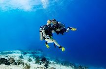 Certified Diving 2 Tanks in Cozumel