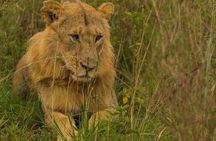Amboseli national park over night